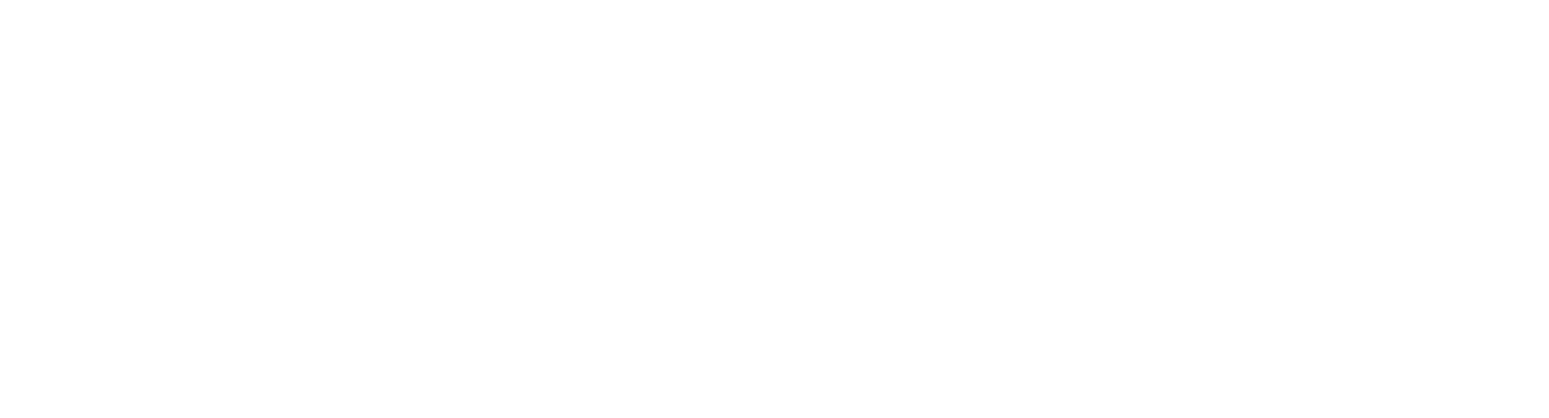 WakoAI Logo